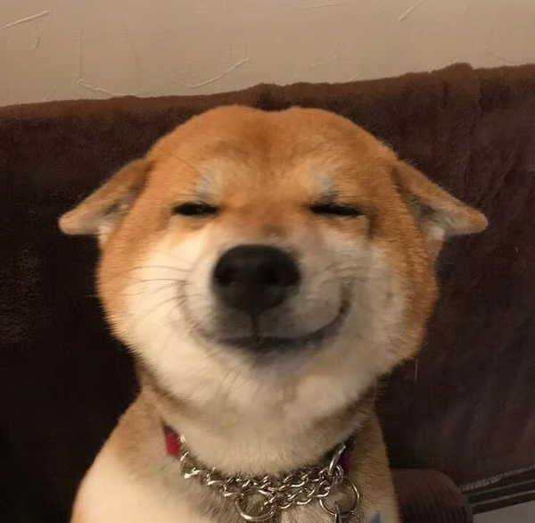The smiling Shiba Inu mascot of $SMILY